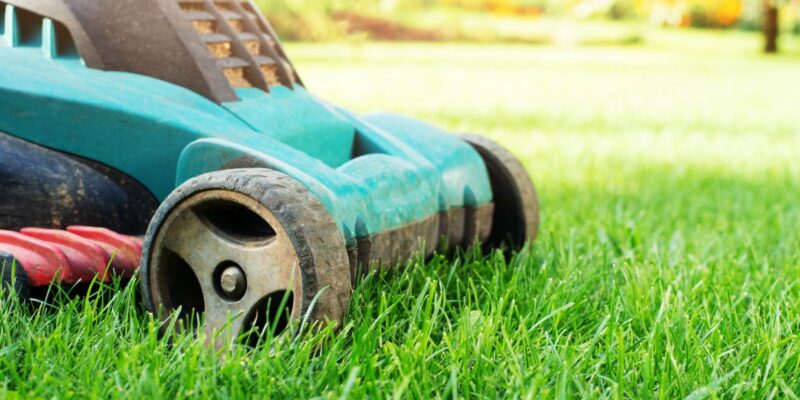 Kosiarka spalinowa – maszyna do skutecznego koszenia trawników